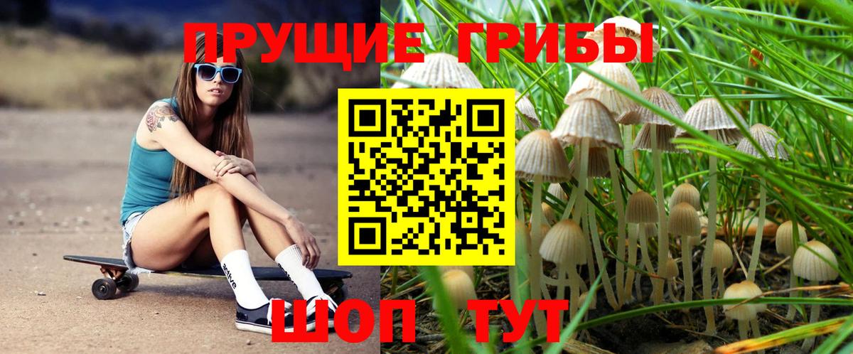как найти закладки  Псилоцибиновые грибы MAGIC MUSHROOMS  Вход с VPN  Псилоцибиновые грибы ЛСД  Россия 