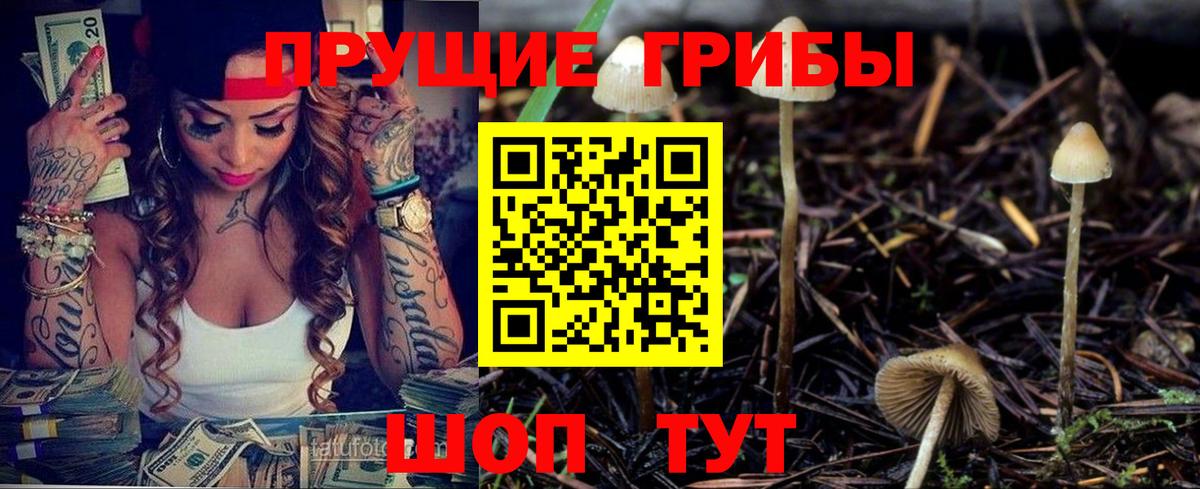 ГАШ Россия